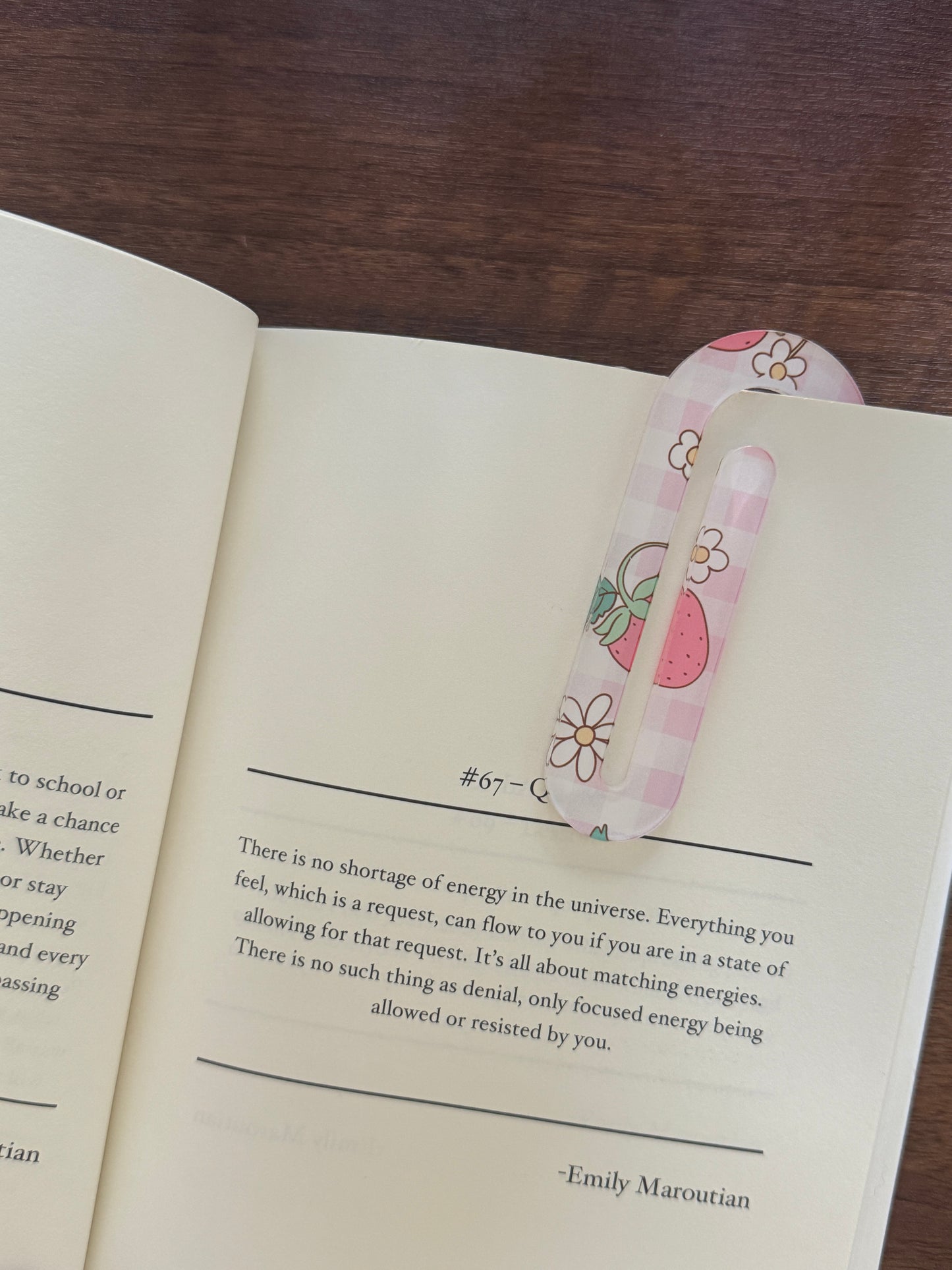 Strawberry Patch Jumbo Paper Clip/ Bookmark